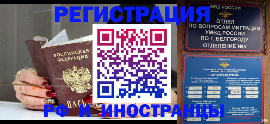 прописка в Белой Калитве